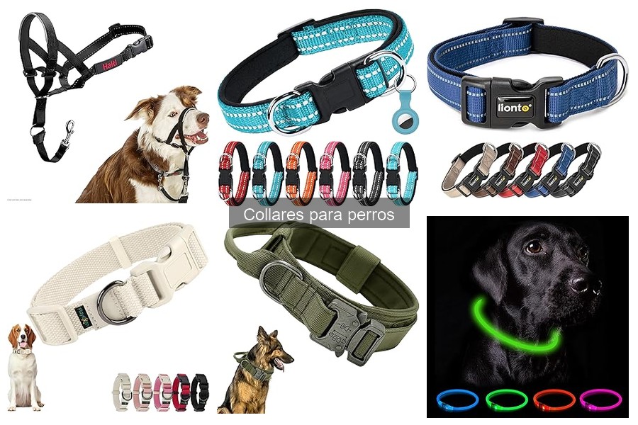 Mejores collares para perros que tiran con facilidad