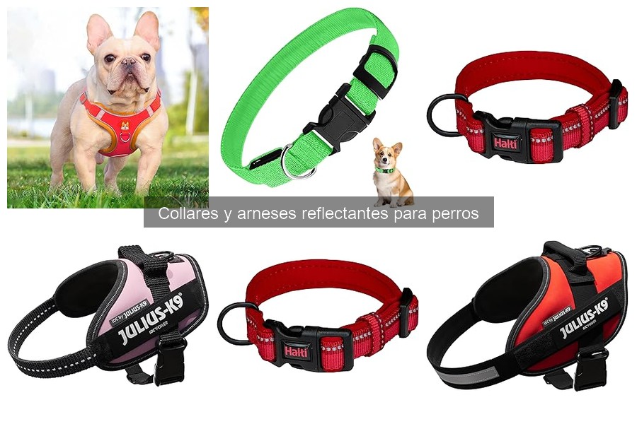 Mejores collares reflectantes para perros en 2023