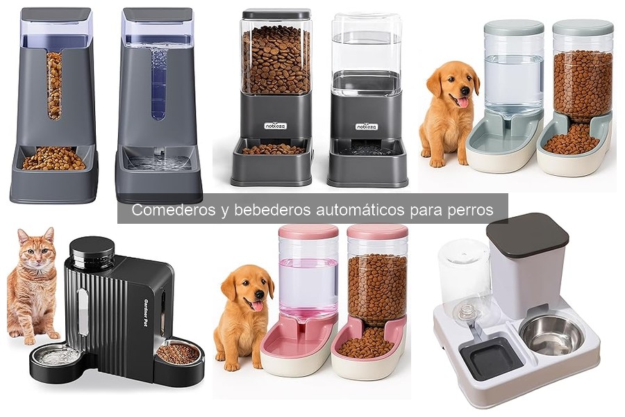 Mejores comederos automáticos para perros grandes