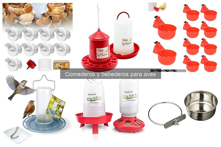 Mejores comederos para aves en invierno: Calidez garantizada