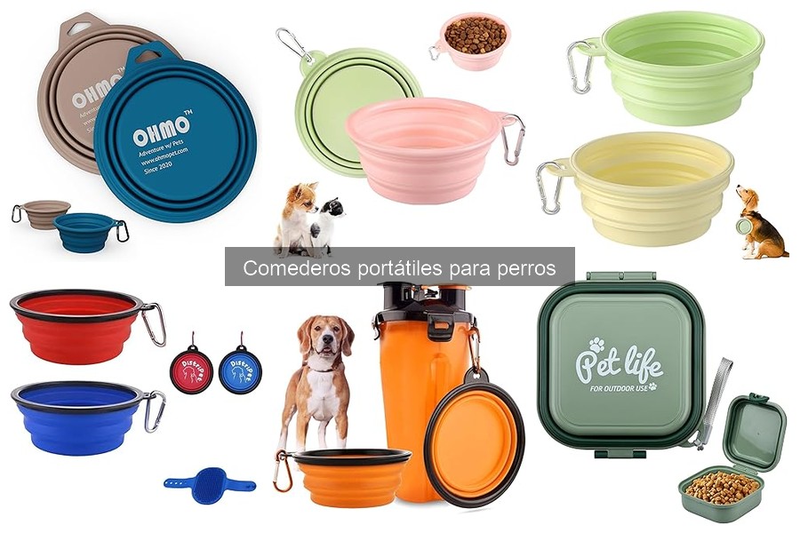 Mejores comederos portátiles para perros en 2023