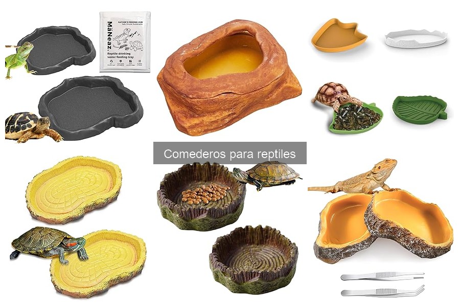 Mejores comederos recomendados para iguanas en 2023