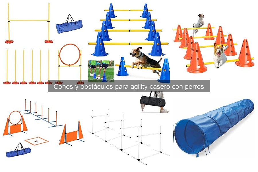 Mejores conos de agility para perros grandes: comparativa