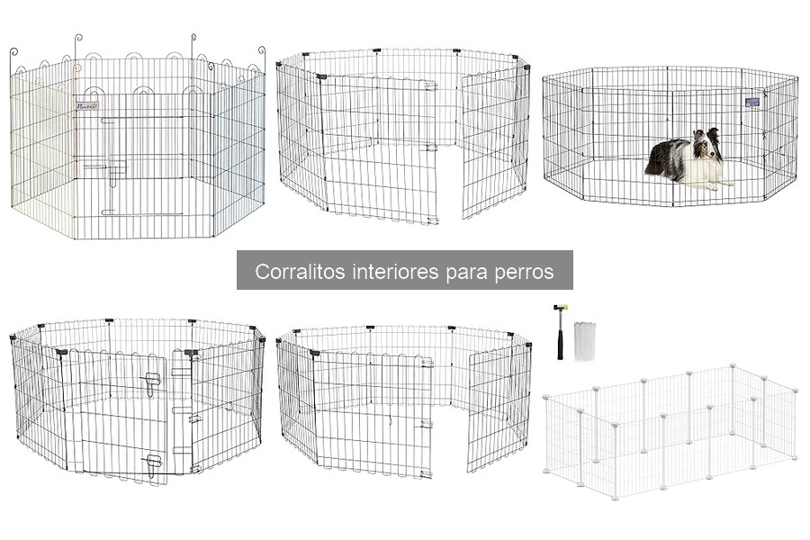 Mejores corralitos interiores para perros pequeños 2023