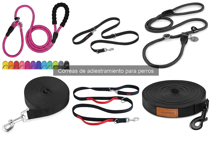 Mejores correas de adiestramiento para perros pequeños