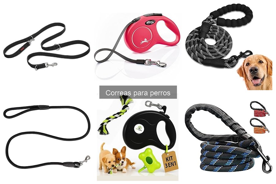 Mejores correas para perros que tiran mucho: guía de compra