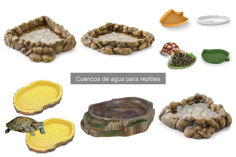 Mejores cuencos de agua para reptiles: guía de compra