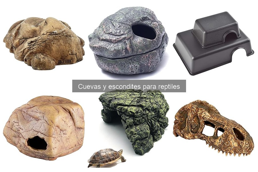Mejores cuevas y escondites para reptiles según especies