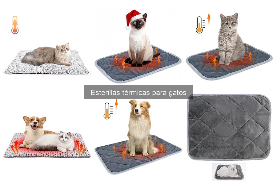 Mejores esterillas térmicas para gatos en invierno 2023