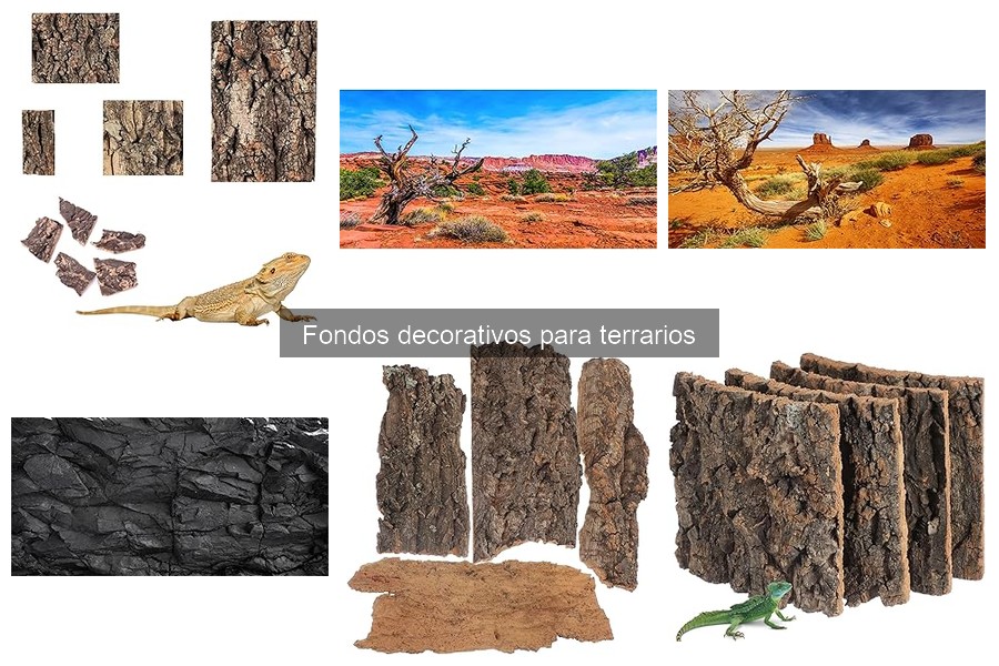 Mejores fondos decorativos para terrarios pequeños