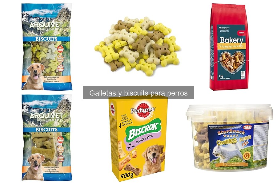 Mejores galletas para perros con alergias: comparativa 2023
