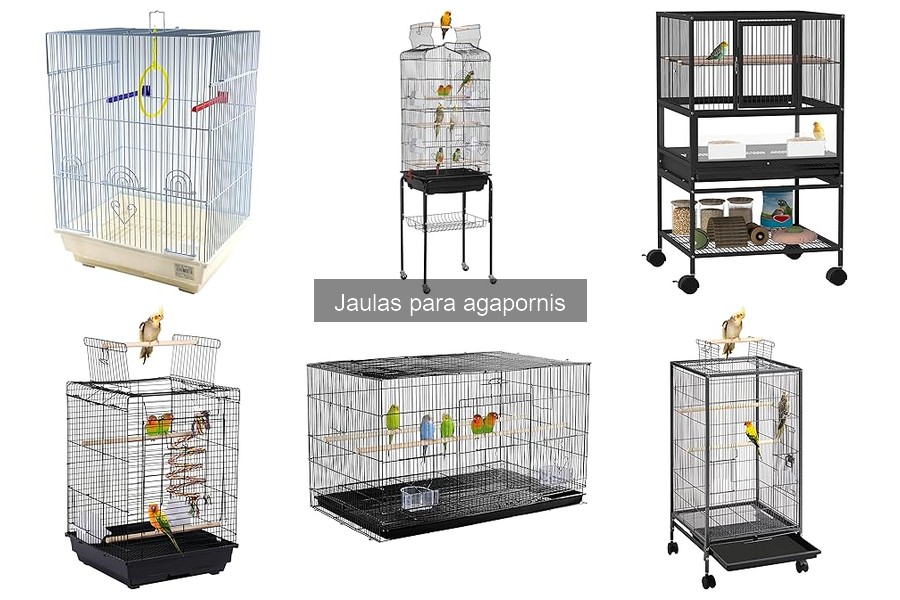 Mejores jaulas para agapornis en 2023: comparativa y análisis