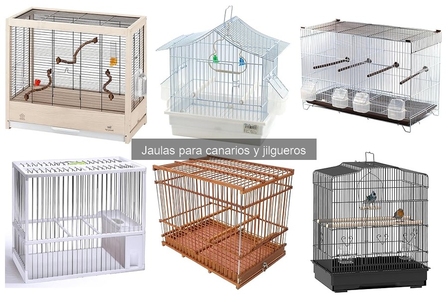 Mejores jaulas para canarios en 2023: Comparativa y opiniones