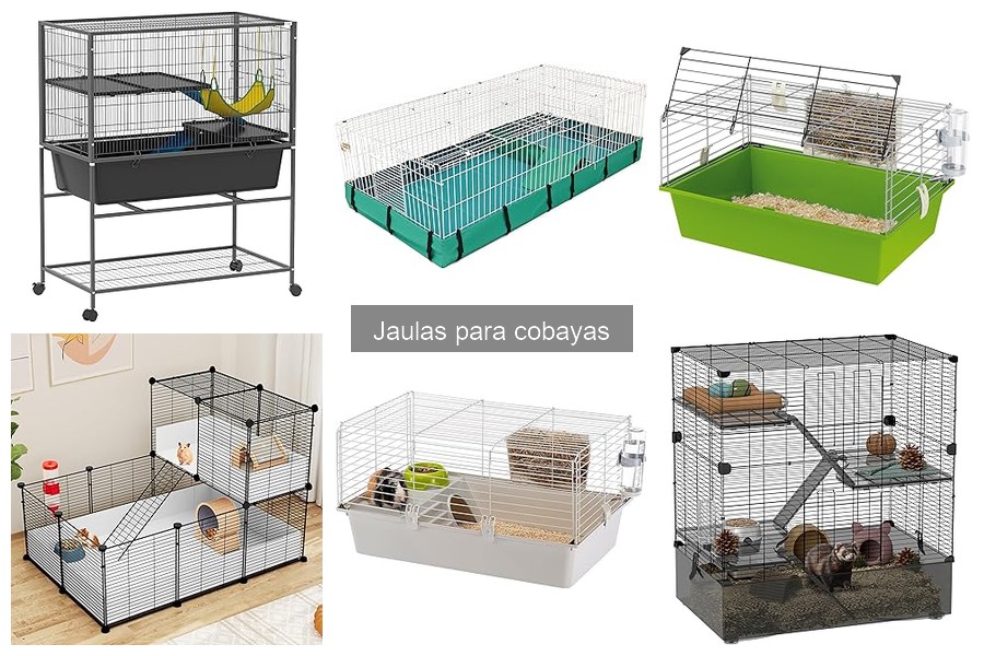 Mejores jaulas para cobayas en 2023: Comparativa y opiniones