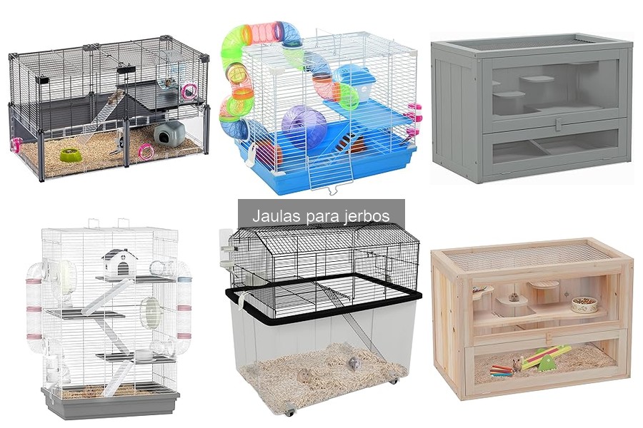 Mejores jaulas para jerbos en 2023: comparativa y recomendaciones