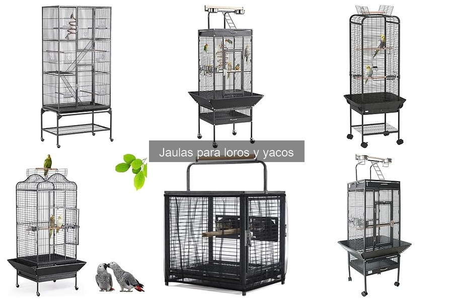 Mejores jaulas para loros en espacios pequeños