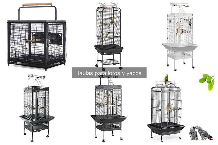 Mejores jaulas para loros y yacos: guía completa
