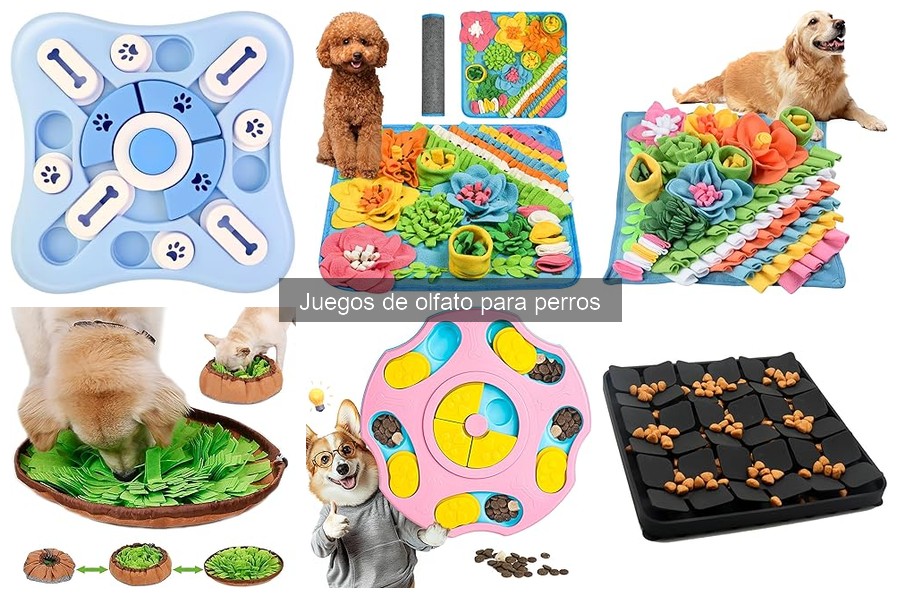 Mejores juegos de olfato para perros activos | Comparativa