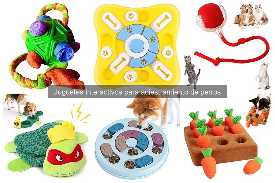 Mejores juguetes interactivos para adiestrar perros
