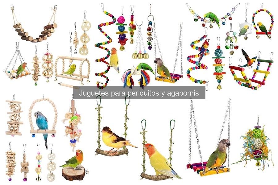 Mejores juguetes para cuidar el pico de periquitos