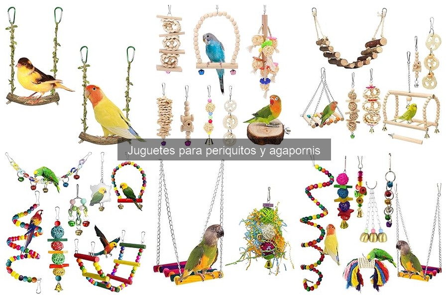 Mejores juguetes para estimular periquitos y agapornis
