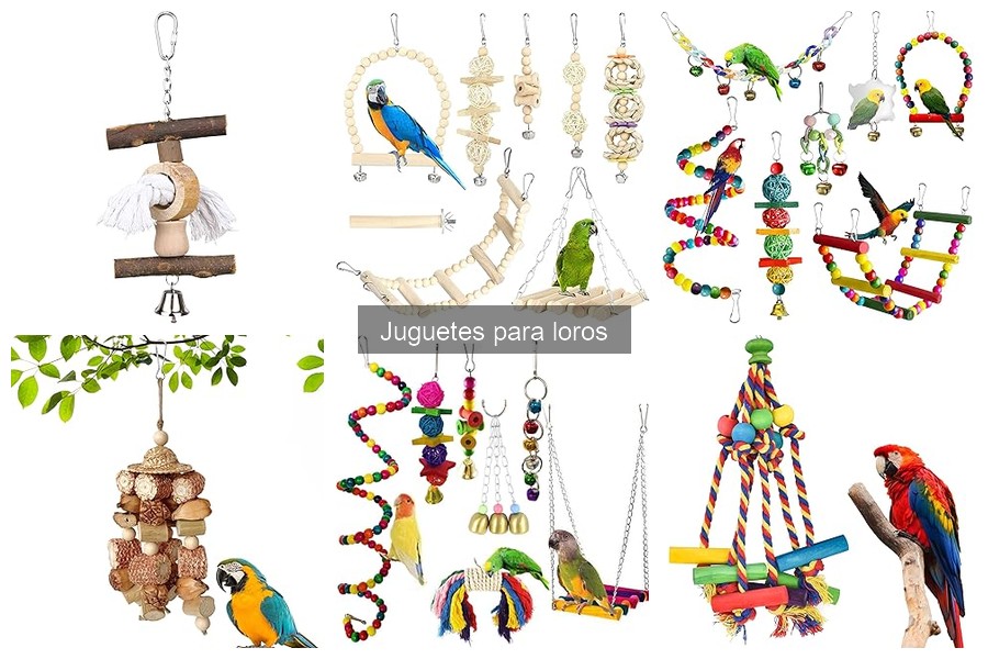 Mejores juguetes para loros grandes: comparación y análisis