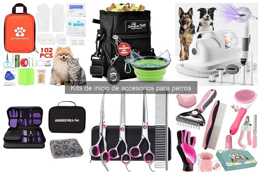 Mejores kits de inicio de accesorios para perros en 2023
