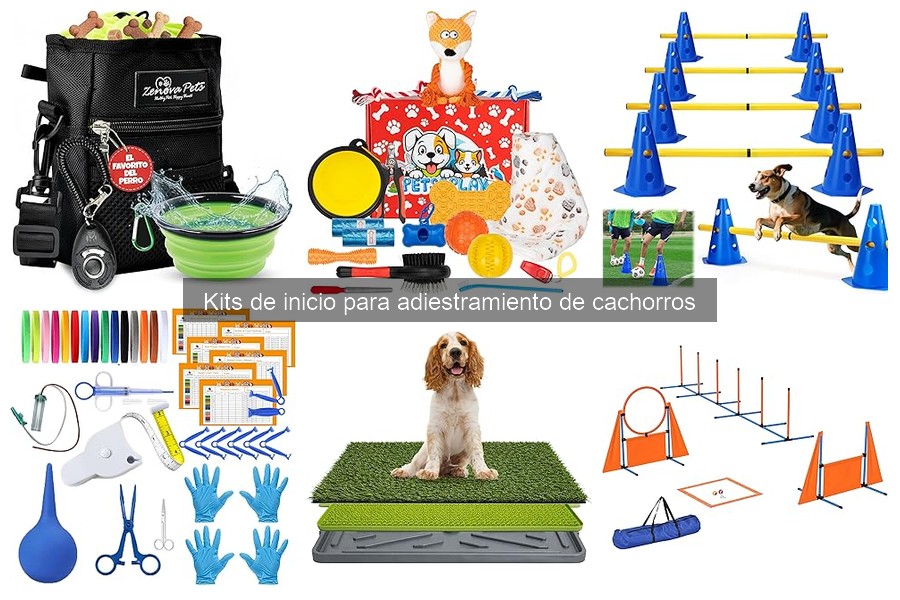 Mejores kits de inicio para adiestramiento de cachorros 2023