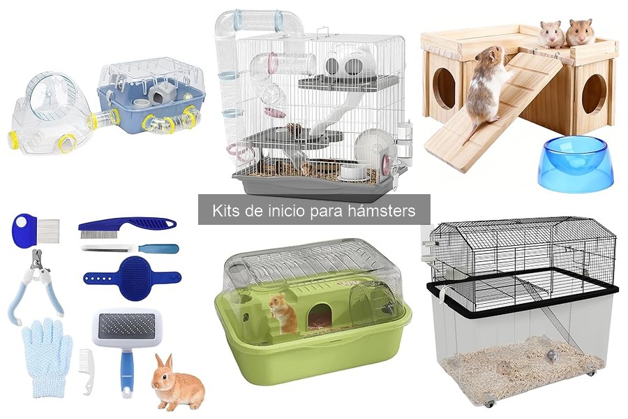 Mejores kits de inicio para hámsters en 2023: comparativa