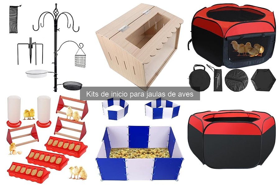 Mejores kits de inicio para jaulas de aves en 2024