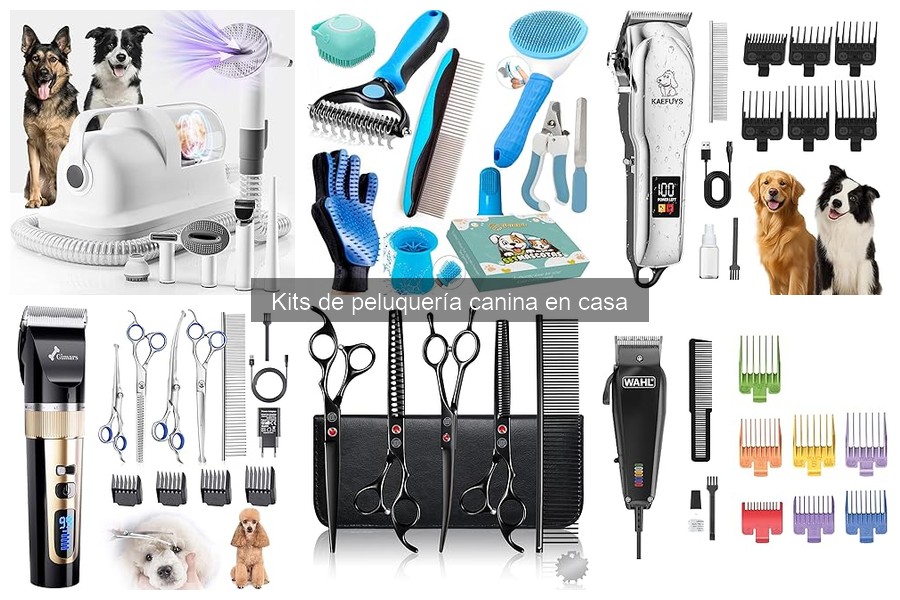 Mejores kits de peluquería canina por raza: Comparativa 2023