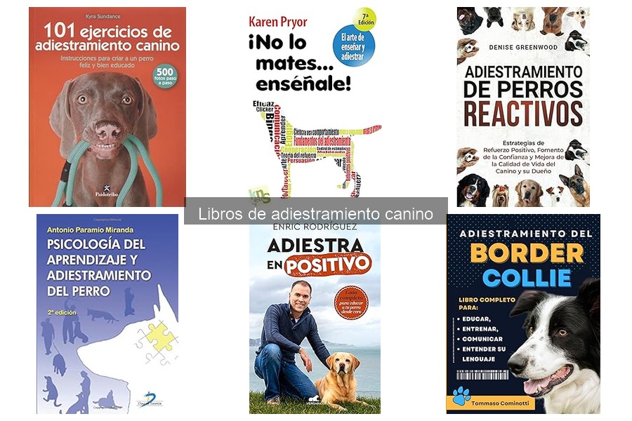 Mejores libros de adiestramiento canino según la edad de tu perro