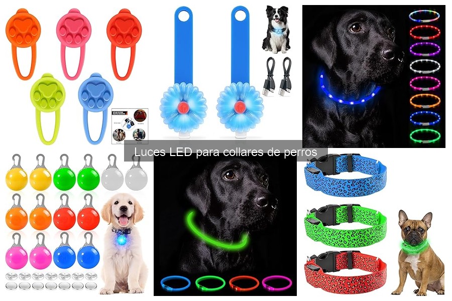 Mejores luces LED para collares de perros: comparativa 2023