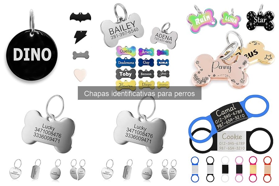 Mejores lugares para comprar chapas identificativas para perros
