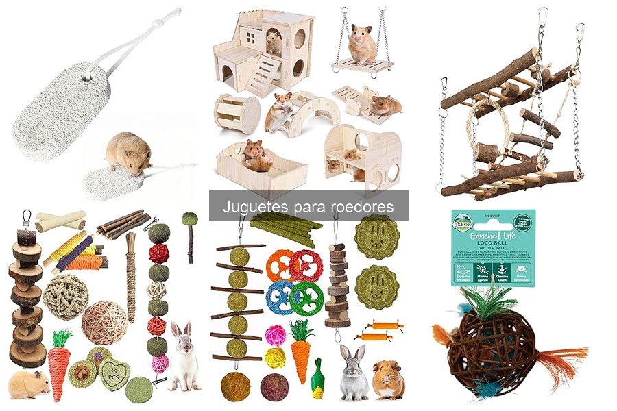Mejores lugares para comprar juguetes para roedores baratos