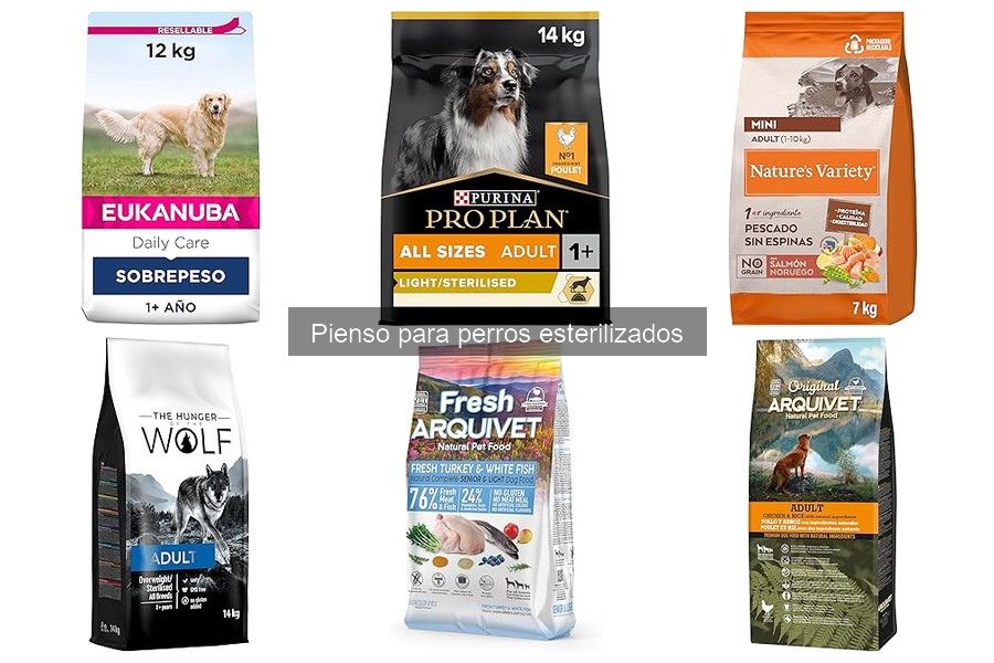 Mejores lugares para comprar pienso para perros esterilizados