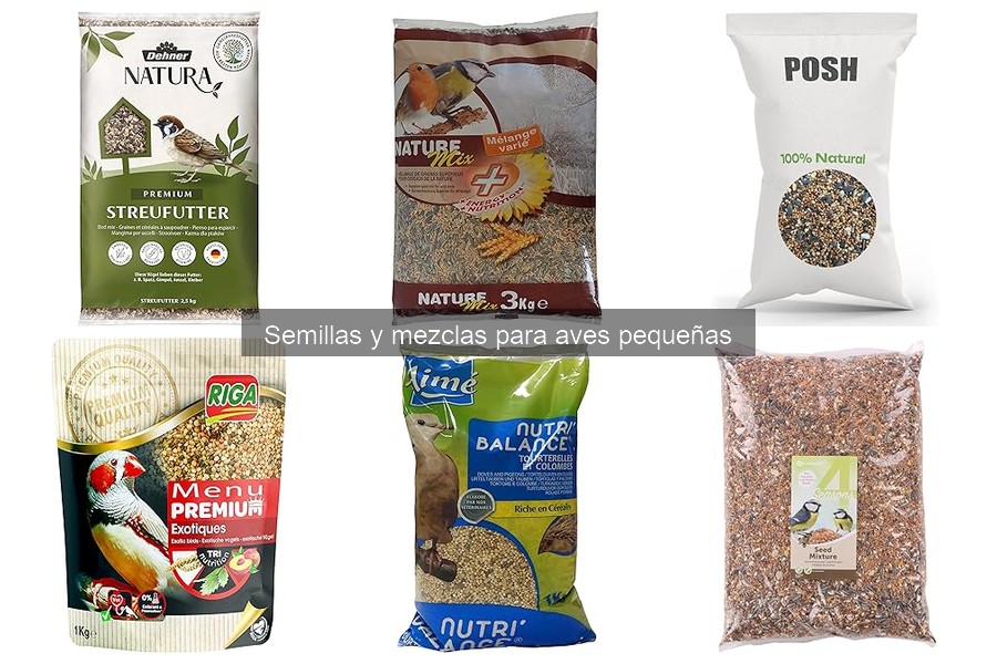 Mejores lugares para comprar semillas para aves pequeñas