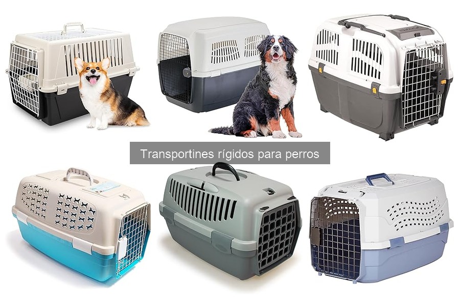Mejores lugares para comprar transportines rígidos para perros