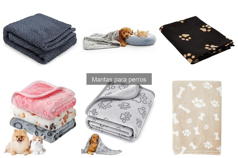 Mejores mantas para perros en invierno: comparativa 2023