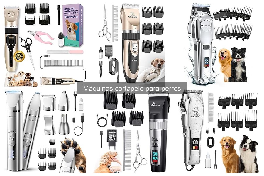 Mejores máquinas cortapelo para perros según su raza