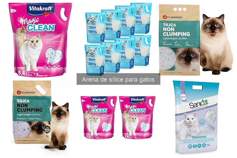 Mejores marcas de arena de sílice para gatos en 2023