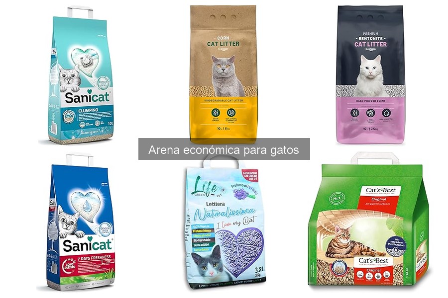 Mejores marcas de arena económica para gatos en 2023