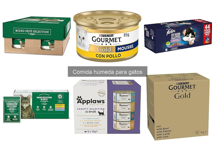 Mejores marcas de comida húmeda para gatos en 2023