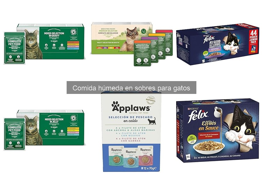 Mejores marcas de comida húmeda para gatos en sobres