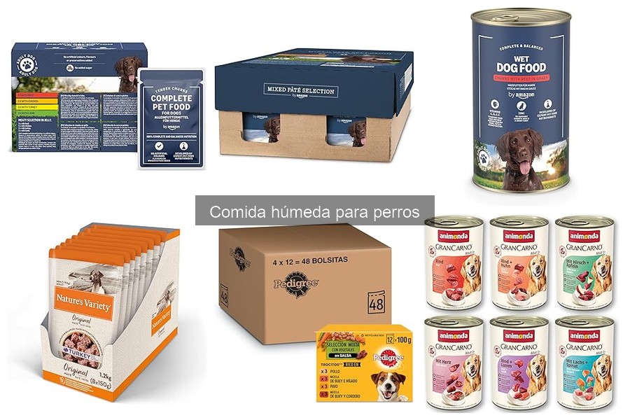 Mejores marcas de comida húmeda para perros en 2023