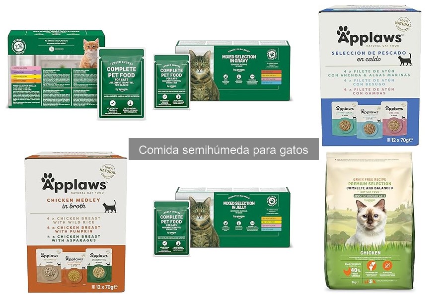 Mejores marcas de comida semihúmeda para gatos en 2023