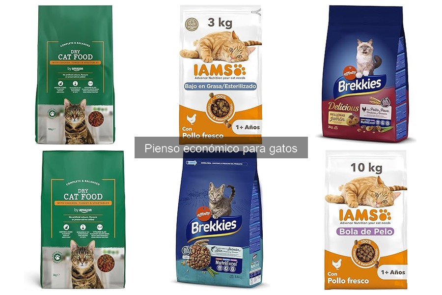 Mejores Marcas de Pienso Económico para Gatos 2023