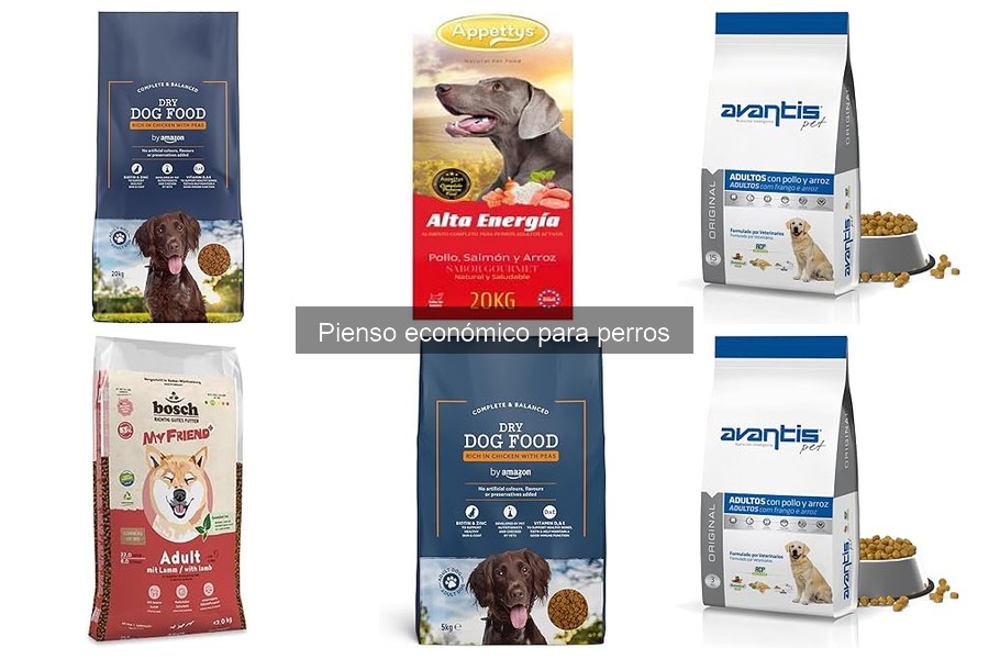 Mejores marcas de pienso económico para perros en 2023