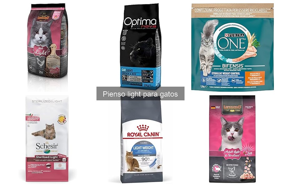 Mejores marcas de pienso light para gatos en comparativa