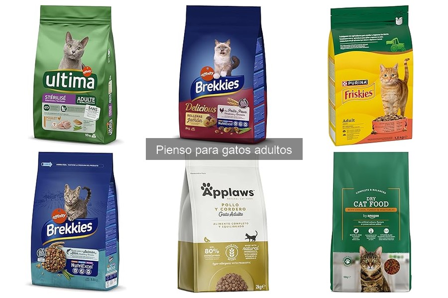 Mejores marcas de pienso para gatos adultos: comparativa 2023